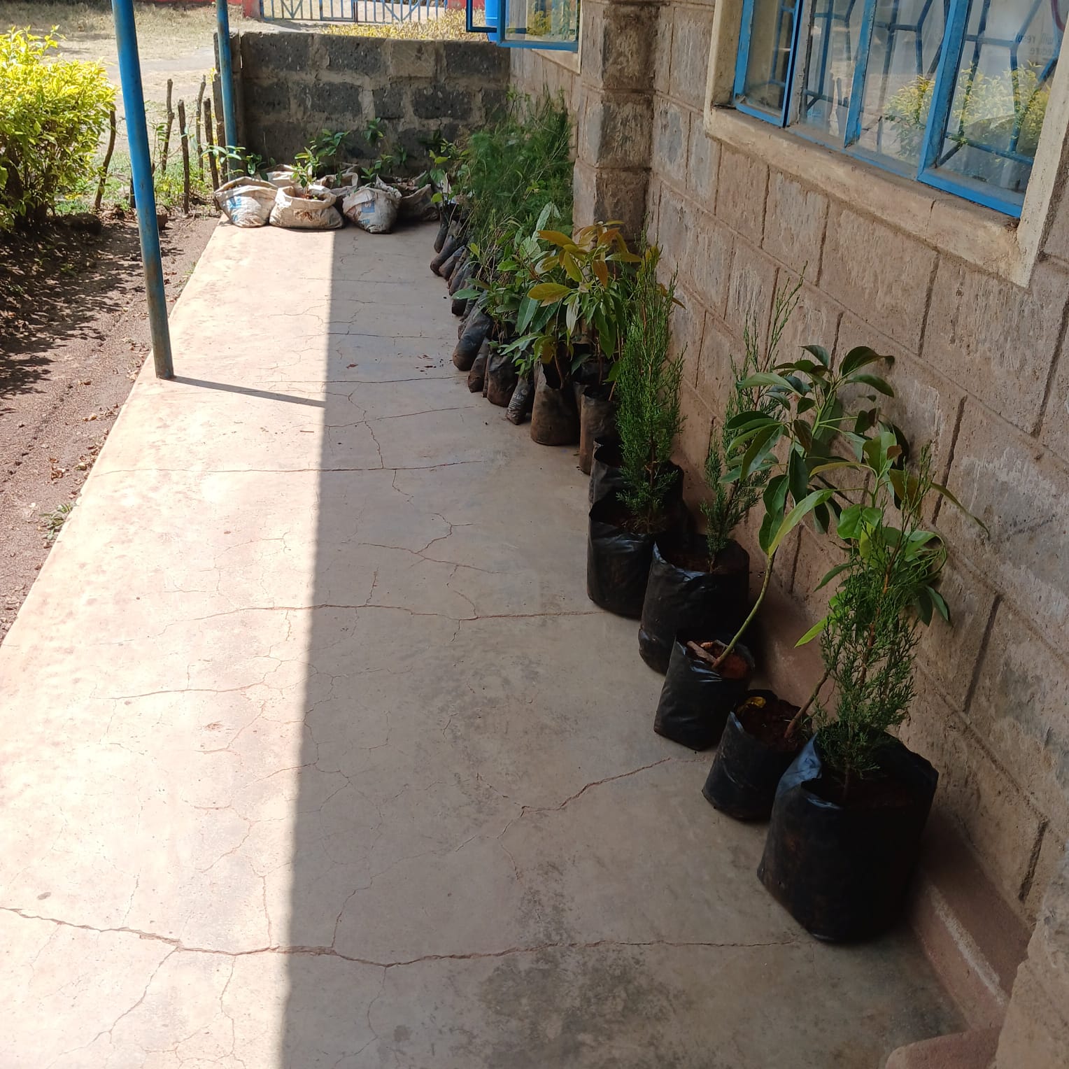 Komo Secondary Partnership Launch - Students receiving environmental education